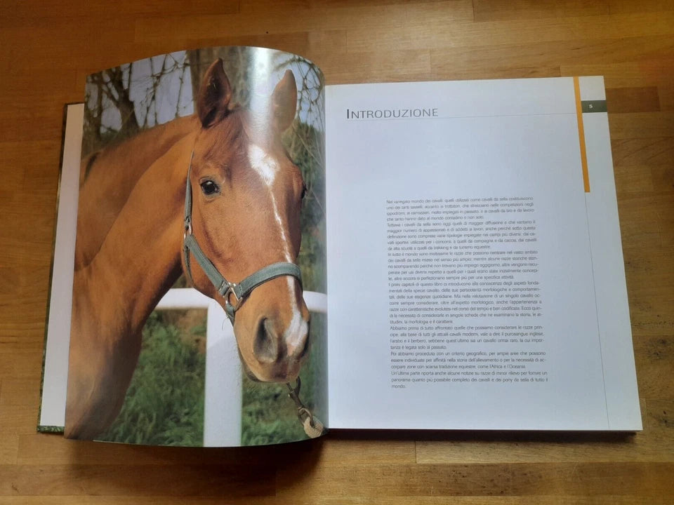 CAVALLI DA SELLA. GIANNI RAVAZZI. DE VECCHI EDITORE. RISTAMPA 2009. COLLANA: ANIMALI.