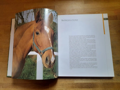 CAVALLI DA SELLA. GIANNI RAVAZZI. DE VECCHI EDITORE. RISTAMPA 2009. COLLANA: ANIMALI.