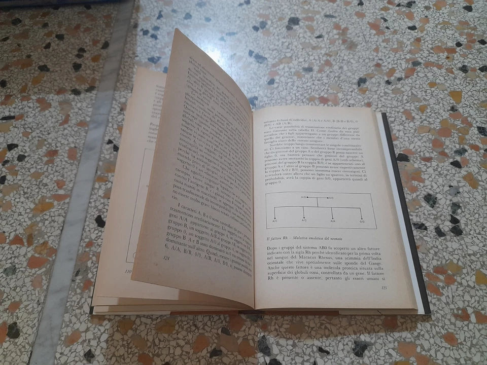 L'EREDITARIETA' FATTI E MISFATTI. ULRICO DI AICHELBURG. RIZZOLI EDITORE. 1° EDIZIONE 1990. COLLANA: OSSERVATORIO ITALIANO.