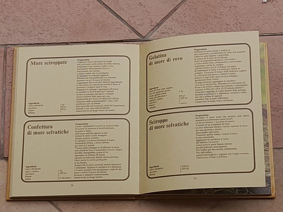 FRUTTA SOTTOVETRO. ANGELO SORZIO. F.LLI FABBRI EDITORI. COLLANA: CONSERVATUTTO. 4° RISTAMPA 1976.
