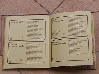 FRUTTA SOTTOVETRO. ANGELO SORZIO. F.LLI FABBRI EDITORI. COLLANA: CONSERVATUTTO. 4° RISTAMPA 1976.