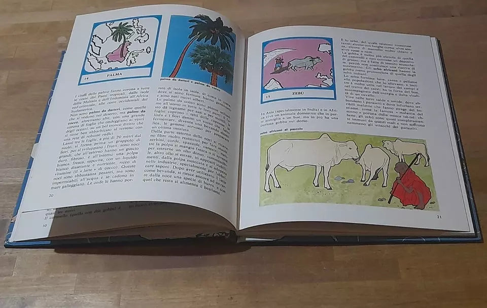 PRIMA ENCICLOPEDIA MONDADORI: IL MONDO. MONDADORI EDITORE. 1° EDIZIONE 1973. TESTI DI ERMANNO LIBENZI - DOMENICO VOLPI.