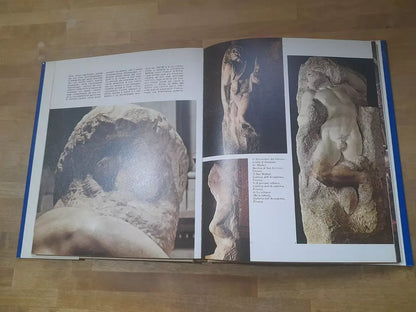MICHELANGELO. MARIA LUISA RIZZATTI. MONDADORI EDITORE. COLLANA: I GENI DELLA PITTURA. RISTAMPA 1980.
