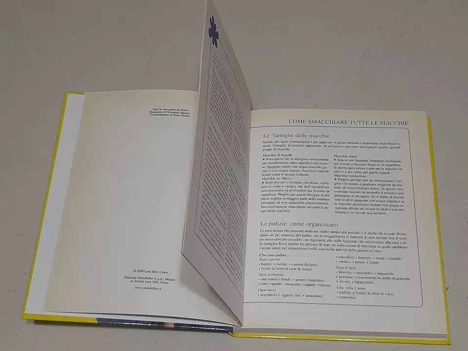 COME SMACCHIARE TUTTE LE MACCHIE. ALESSANDRO DI PIETRO. EDIZIONE MONDOLIBRI SU LICENZA LYRA 2001. COLLANA: CASA SANA & SICURA.