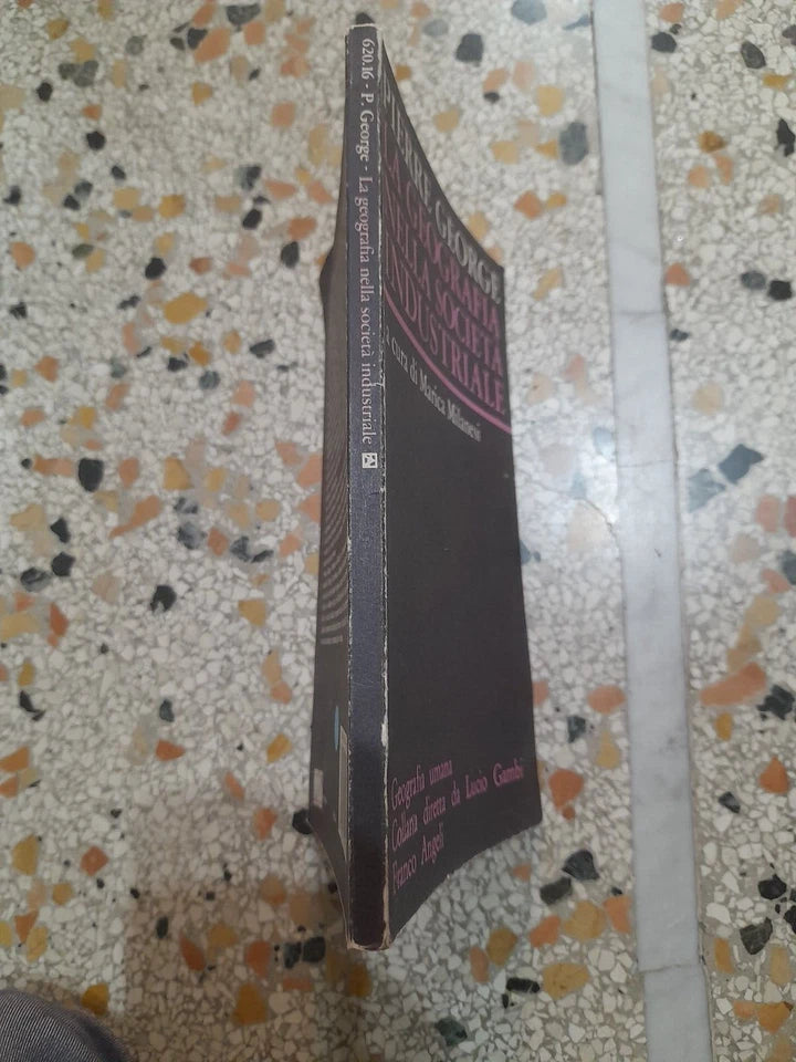 LA GEOGRAFIA NELLA SOCIETA' INDUSTRIALE. PIERRE GEORGE. FRANCO ANGELI EDITORE. 6° EDIZIONE 1987. COLLANA: GEOGRAFIA UMANA, DIRETTA DA LUCIO GAMBI.