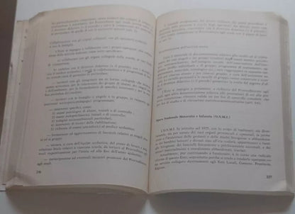 PROBLEMI RELATIVI ALLA VITA E ALLA FUNZIONE DELLA SCUOLA PRIMARIA. A CURA DELL'EQUIPE DIRETTA DA ERCOLE BARALDI. CENTRO PROGRAMMAZIONE EDITORIALE ANNO II - N. 2 - GENNAIO 1976. COLLANA: PROBLEMI EDUCATIVI CULTURALI.