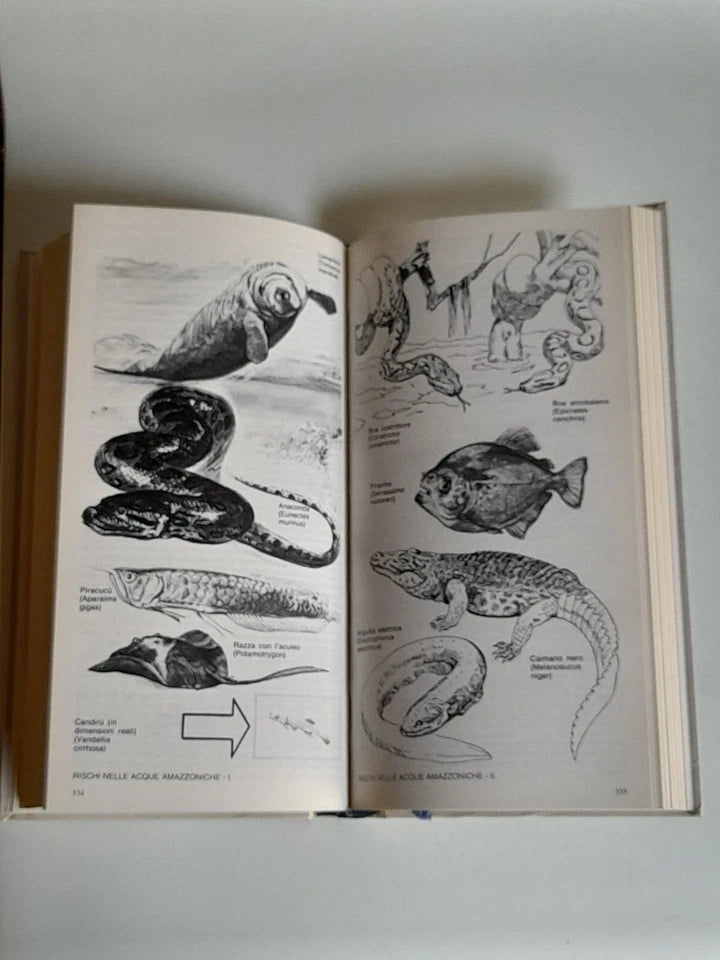 IL NUOVO MEDICO TURISTA. DOTT. GIORGIO CAPROTTI. NOVARTIS EDIZIONI. RISTAMPA 1997.