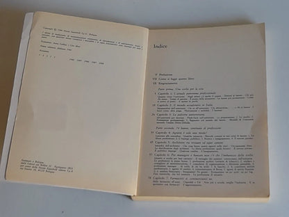 IL LAVORO DEL LAUREATO. FABRIZIO FERRAGNI - RAFFAELLO MASCI. GUIDA ALLE PROFESSIONI POST-UNIVERSITARIE. 1° EDIZIONE FEBBRAIO 1984. ZANICHELLI EDITORE. COLLANA: PROSPETTIVE DIDATTICHE.