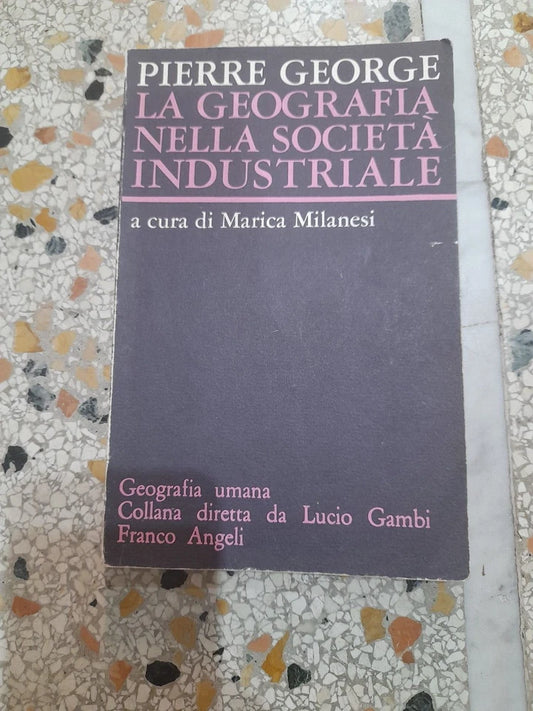 LA GEOGRAFIA NELLA SOCIETA' INDUSTRIALE. PIERRE GEORGE. FRANCO ANGELI EDITORE. 6° EDIZIONE 1987. COLLANA: GEOGRAFIA UMANA, DIRETTA DA LUCIO GAMBI.