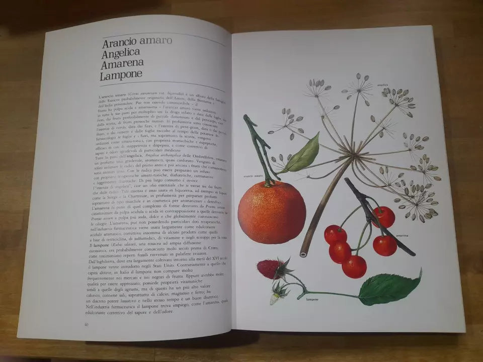 LE PIANTE DELLA SALUTE. ATLANTE DELLE PIANTE MEDICINALI. AA.VV. MONDADORI 1980.