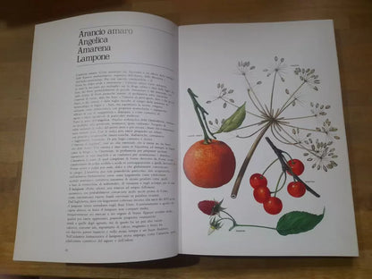 LE PIANTE DELLA SALUTE. ATLANTE DELLE PIANTE MEDICINALI. AA.VV. MONDADORI 1980.