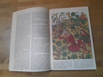 VINI D'ITALIA. BARTOLOMEO CARDINALI. EDAGRICOLA EDIZIONE 1978. COLLANA: BIBLIOTECA DI VITICOLTURA. EDIZIONE FUORI COMMERCIO.