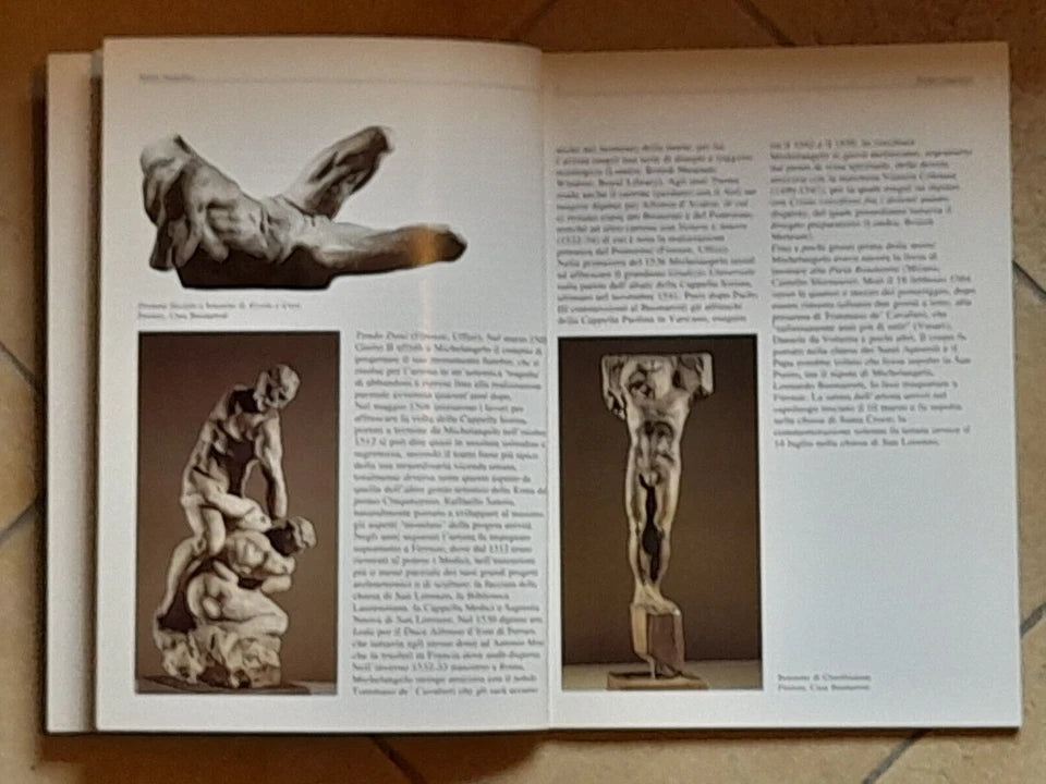 MICHELANGELO. PITTORE, SCULTORE, ARCHITETTO. ANGELO TARTUFERI. FRANCESCO PAPAFAVA EDITORE. RISTAMPA 1993.