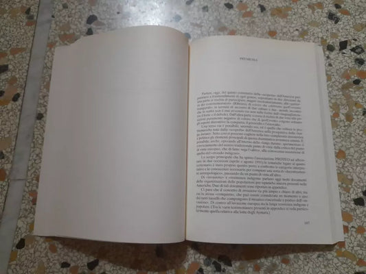 NOI TRA GLI ALTRI. A CURA DI ENZO SCHIAVINA. PROTEO EMILIA ROMAGNA. RISTAMPA 1991.