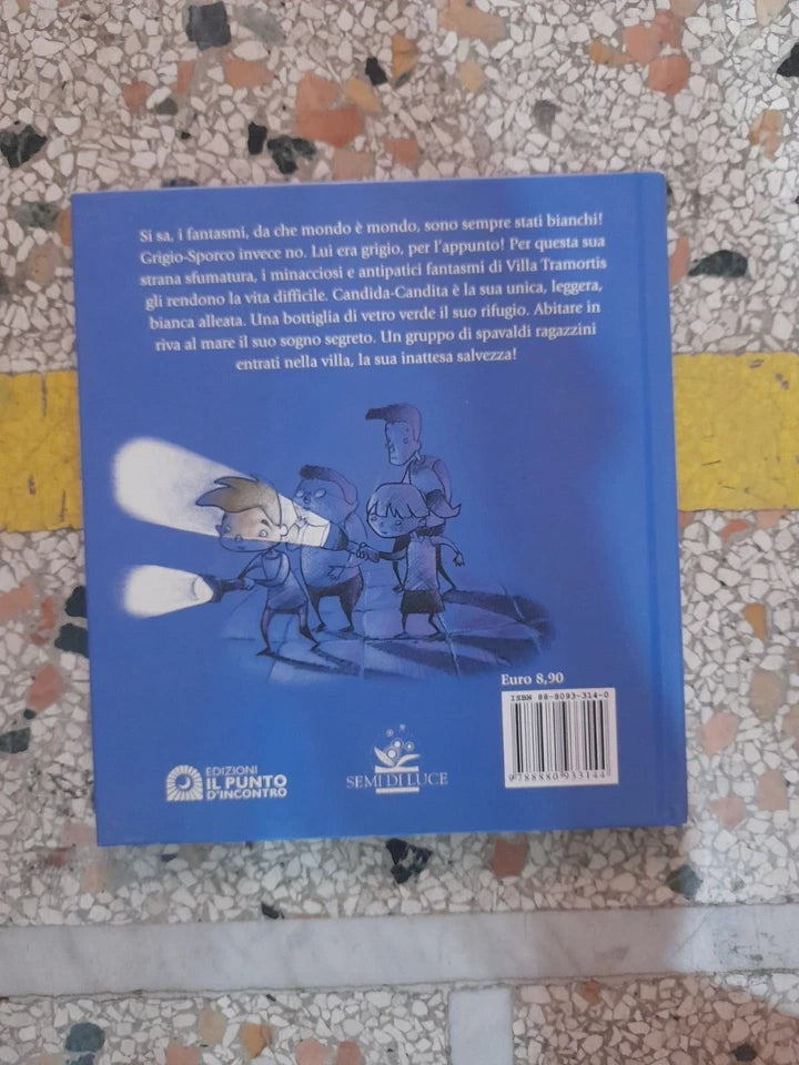 E' DURA ESSERE UN FANTASMA. MANUELA MONARI. EDIZIONI IL PUNTO D'INCONTRO. 1° EDIZIONE 2003. COLLANA: SEMI DI LUCE.