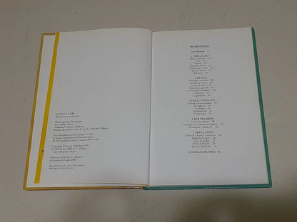 DECORAZIONI CON LA CARTA. HILARY MORE. EDIZIONE CDE SU LICENZA FENICE. RISTAMPA 2000. COLLANA: FACILE A FARE. RISTAMPA 2000.