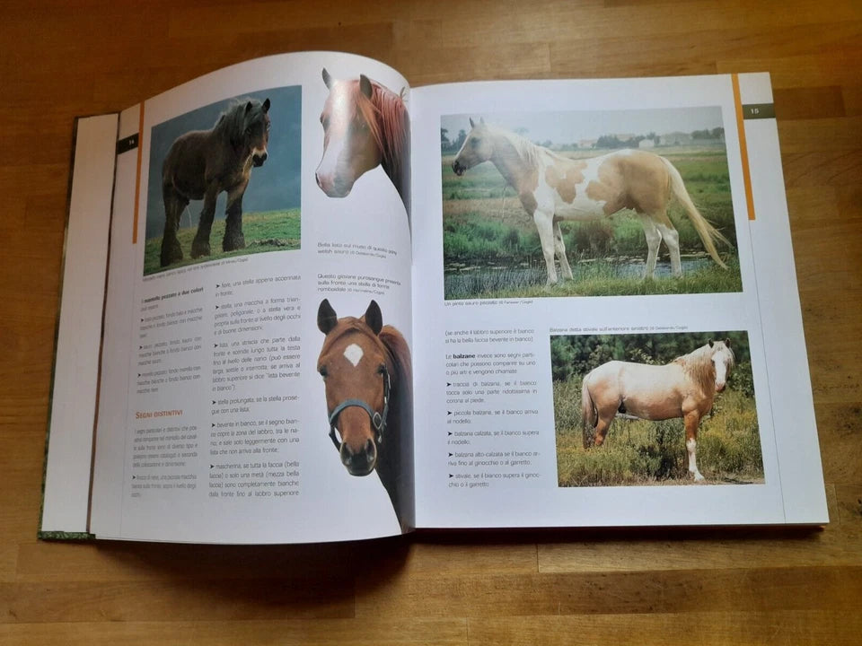 CAVALLI DA SELLA. GIANNI RAVAZZI. DE VECCHI EDITORE. RISTAMPA 2009. COLLANA: ANIMALI.