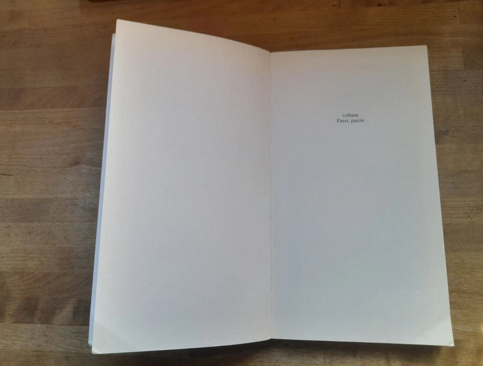 I WANDERVÖGEL: UNA GENERAZIONE PERDUTA. WINFRIED MOGGE. IMMAGINI DI UN MOVIMENTO GIOVANILE NELLA GERMANIA PRENAZISTA. EDIZIONI SOCRATES. 1° EDIZIONE 1999. COLLANA: PAESI, PAROLE.