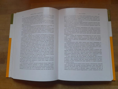 MEDICINA FISICA E RIABILITAZIONE. MARCELLO PEZZETTI - IGNAZIO CARUSO. LOMBARDO EDITORE. 3° EDIZIONE AMPLIATA, 1980.