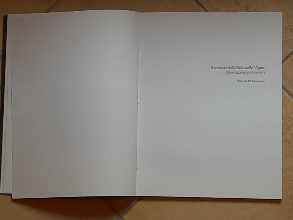 ARTE E STORIA A BELRIGUARDO. LA SALA DELLE VIGNE. AA.VV. BELRIGURDO EDITRICE. RISTAMPA  1997. MOSTRA STORICO - ICONOGRAFICA SU BELRIGUARDO.