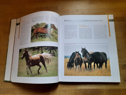 CAVALLI DA SELLA. GIANNI RAVAZZI. DE VECCHI EDITORE. RISTAMPA 2009. COLLANA: ANIMALI.
