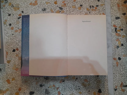 ALDILA'. LA VITA CONTINUA?. UN'INDAGINE SORPRENDENTE. ROBERTO GIACOBBO. RAI ERI MONDADORI EDITORE. 1° EDIZIONE APRILE 2011. COLLEZIONE: INGRANDIMENTI.