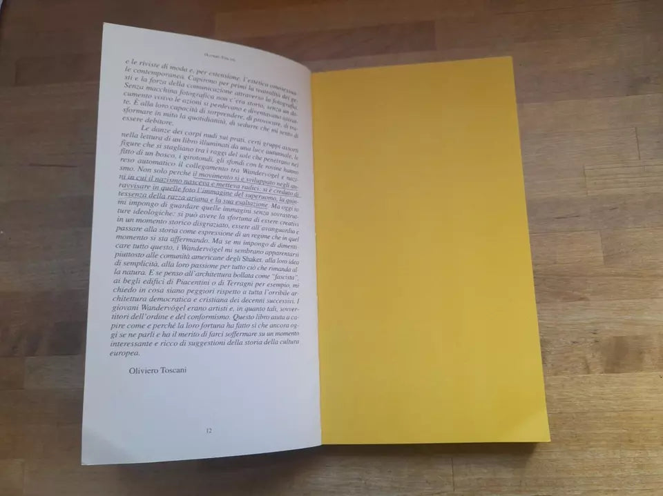 I WANDERVÖGEL: UNA GENERAZIONE PERDUTA. WINFRIED MOGGE. IMMAGINI DI UN MOVIMENTO GIOVANILE NELLA GERMANIA PRENAZISTA. EDIZIONI SOCRATES. 1° EDIZIONE 1999. COLLANA: PAESI, PAROLE.