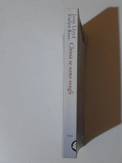 CHISSA' SE SONO SVEGLI. JOSIE  LlOYD - EMLYN REES. TEA EDITORI. COLLANA: TEADUE 1593. 1° EDIZIONE TEADUE 2008.