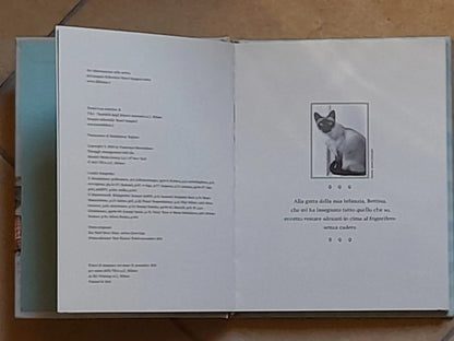 PRENDITELA COMODA. L'ARTE DI VIVERE FELICI SECONDO I GATTI.  FRANCESCO MARCIULIANO. TEA EDITRICE. 1° EDIZIONE NON FICTION TRE60, NOVEMBRE 2015
