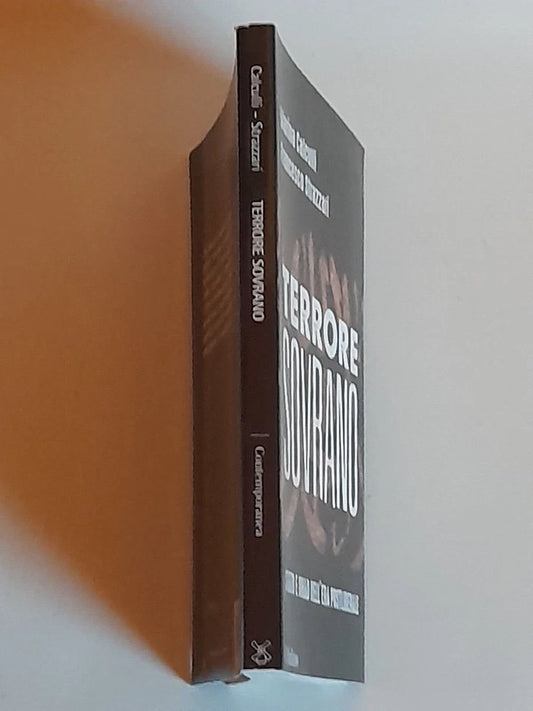 TERRORE SOVRANO. STATO E JIHAD NELL'ERA POSTLIBERALE. MARINA CALCULLI - FRANCESCO STRAZZARI. SOCIETA' EDITRICE IL MULINO. COLLANA: CONTEMPORANEA. 1° EDIZIONE 2017.