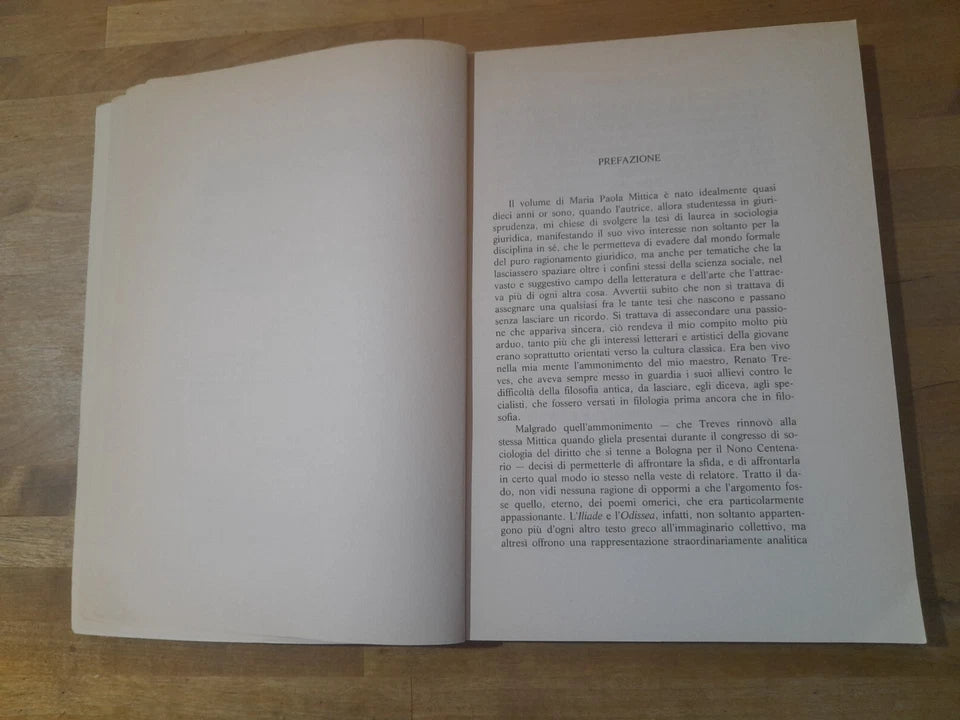 IL DIVENIRE DELL'ORDINE. L'INTERAZIONE NORMATIVA NELLA SOCIETA' OMERICA. MARIA PAOLA MITTICA. 1° EDIZIONE 1996. DOTT. A. GIUFFRE' EDITORE.