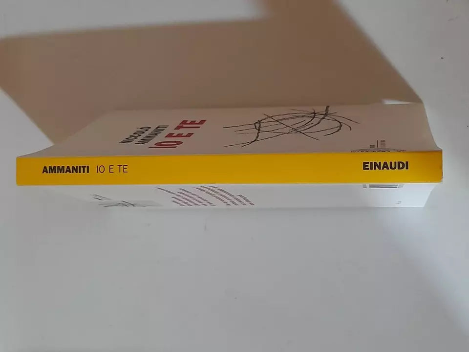 IO E TE. NICCOLO' AMMANITI. EINAUDI EDITORE. COLLANA: EINAUDI STILE LIBERO BIG. 10° EDIZIONE 2010.