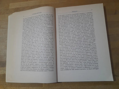 IL DIVENIRE DELL'ORDINE. L'INTERAZIONE NORMATIVA NELLA SOCIETA' OMERICA. MARIA PAOLA MITTICA. 1° EDIZIONE 1996. DOTT. A. GIUFFRE' EDITORE.