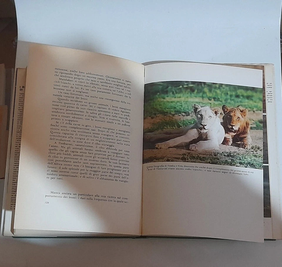 I BIANCHI LEONI DI TIMBAVATI. CHRIS McBRIDE. RIZZOLI EDITORE. RISTAMPA 1978.