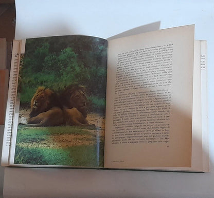 I BIANCHI LEONI DI TIMBAVATI. CHRIS McBRIDE. RIZZOLI EDITORE. RISTAMPA 1978.
