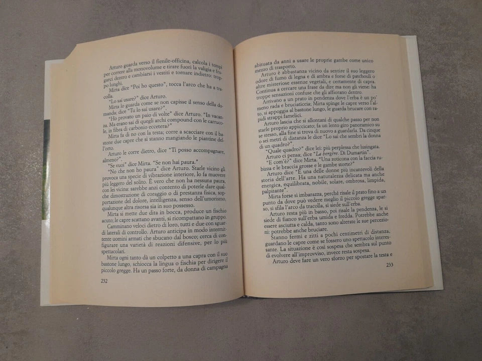 GIRO DI VENTO. ANDREA  DE CARLO. EDIZIONE MONDOLIBRI SU LICENZA RCS LIBRI. 2° EDIZIONE 2005.
