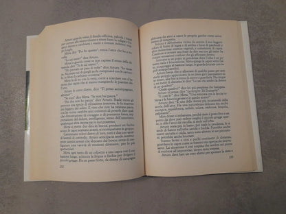 GIRO DI VENTO. ANDREA  DE CARLO. EDIZIONE MONDOLIBRI SU LICENZA RCS LIBRI. 2° EDIZIONE 2005.