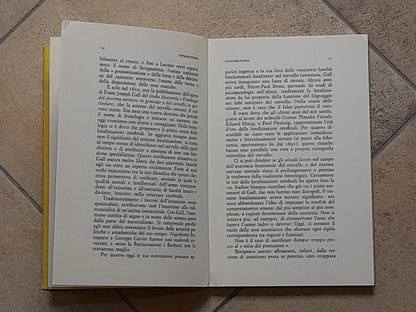 LA COSTRUZIONE DEL CERVELLO. ALAIN PROCHIANTZ. EDIZIONI THEORIA. 1° EDIZIONE MAGGIO 1992. COLLANA: SONDE 36.