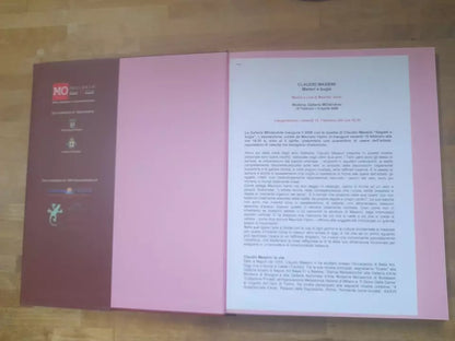 CLAUDIO MASSINI MISTERI E BUGIE. GALLERIA MOdenARTE. ARTE MODERNA E CONTEMPORANEA. 2008.