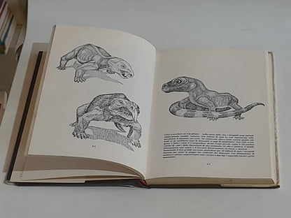 IL TELAIO INCANTATO...E L'EVOLUZIONE CREO' L'INTELLIGENZA. ROBERT JASTROW. MONDADORI EDITORE. COLLANA: LA SCIENZA E L'UOMO.  1° EDIZIONE GIUGNO 1982.