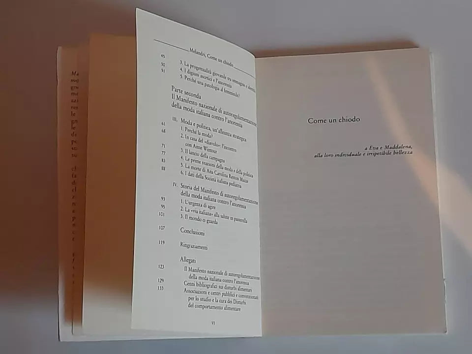 COME UN CHIODO. LE RAGAZZE, LA MODA, L'ALIMENTAZIONE. GIOVANNA MELANDRI. DONZELLI EDITORE. 1° EDIZIONE 2007. COLLANA: SAGGINE / 99.