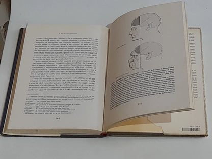 IL TELAIO INCANTATO...E L'EVOLUZIONE CREO' L'INTELLIGENZA. ROBERT JASTROW. MONDADORI EDITORE. COLLANA: LA SCIENZA E L'UOMO.  1° EDIZIONE GIUGNO 1982.