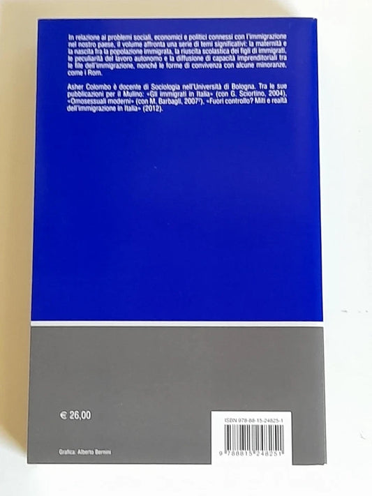 FIGLI, LAVORO, VITA QUOTIDIANA. ASHER COLOMBO. SOCIETA' EDITRICE IL MULINO. COLLANA: RICERCHE E STUDI DELL'ISTITUTO CARLO CATTANEO - STRANIERI IN ITALIA. 1° EDIZIONE 2013.