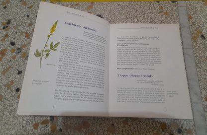 I FIORI DI BACH. SIGRID SCHMIDT. 1° EDIZIONE 1995. RED EDIZIONI. COLLANA: CORPOMENTE.