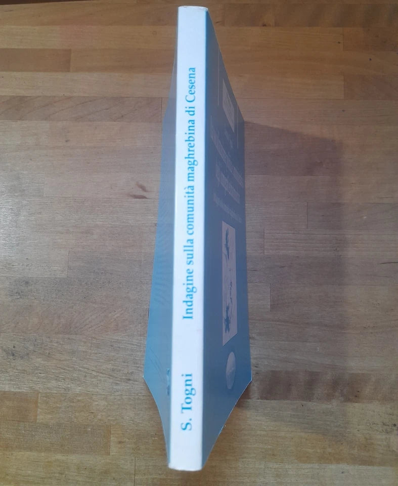 LA SOCIALIZZAZIONE POLITICA E AMMINISTRATIVA DEGLI IMMIGRATI EXTRACOMUNITARI. SANZIO TOGNI. SOCIETA' EDITRICE "IL PONTE VECCHIO" 1993. COLLANA: PRAXIS - SAGGI E RICERCHE DI SCIENZE ECONOMICHE E SOCIALI - 1.