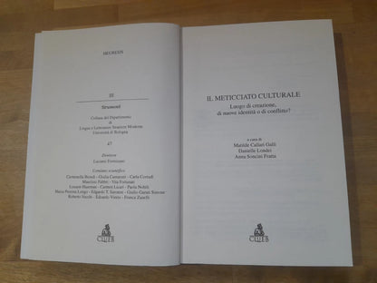 IL METICCIATO CULTURALE. LUOGO DI CREAZIONE, DI NUOVE IDENTITA' O DI CONFLITTO?. AA.VV. CLUEB EDIZIONI 2005. COLLANA: HEURESIS III.