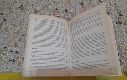 LA ZONA ITALIANA. GIGLIOLA BRAGA. NUOVA EDIZIONE AMPLIATA E AGGIORNATA. SPERLING & KUPFER EDITORI. RISTAMPA 2007.