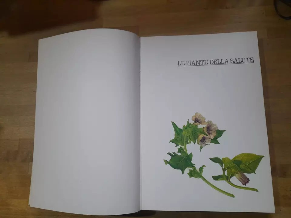 LE PIANTE DELLA SALUTE. ATLANTE DELLE PIANTE MEDICINALI. AA.VV. MONDADORI 1980.