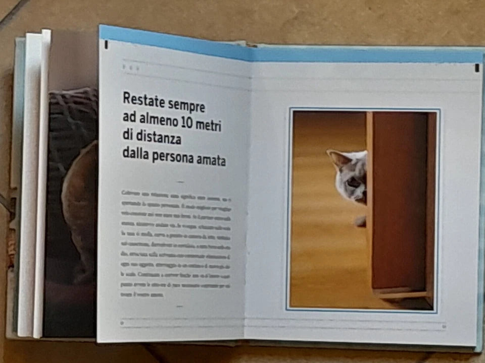 PRENDITELA COMODA. L'ARTE DI VIVERE FELICI SECONDO I GATTI.  FRANCESCO MARCIULIANO. TEA EDITRICE. 1° EDIZIONE NON FICTION TRE60, NOVEMBRE 2015