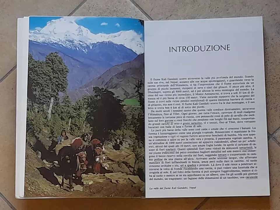 IL PIANETA VIVENTE. "UN RITRATTO DELLA TERRA". DAVID ATTENBOROUGH. DE AGOSTINI EDITORE, 1988.